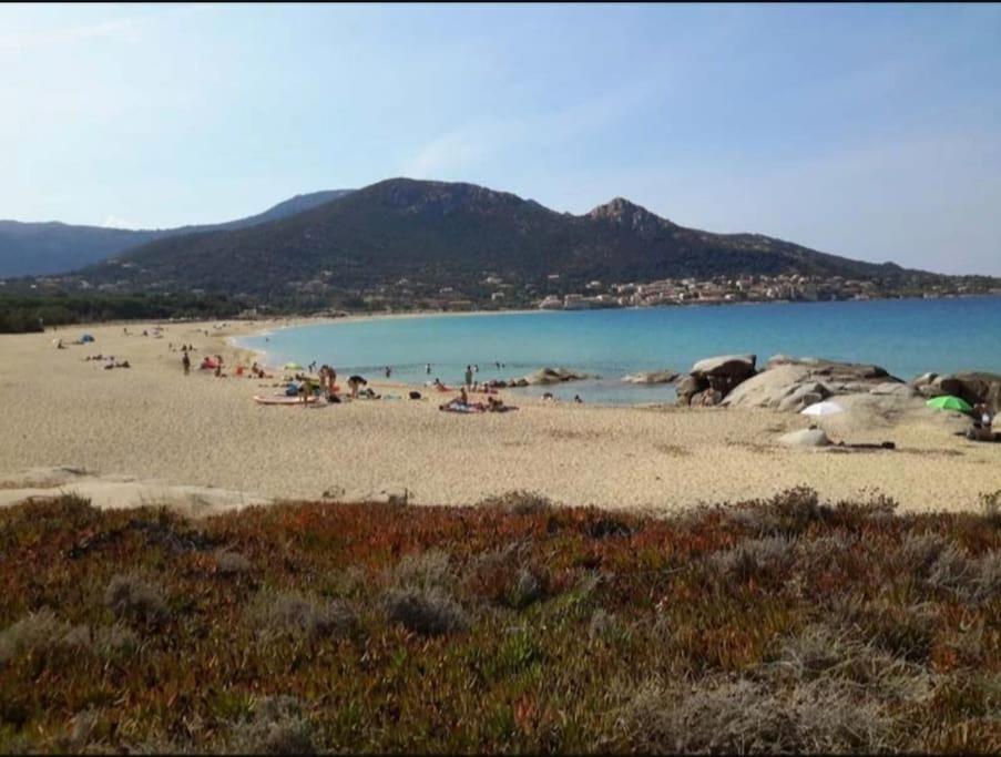 T2 Neuf Climatise Dans Villa A Corbara Exterior photo