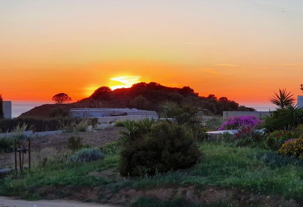 T2 Neuf Climatise Dans Villa A Corbara Exterior photo